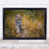 Leopard Feline Wildlife Wild Nature Animal Animals Stalking Wall Art Print