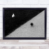 Seagull Dove Black-and-white Baw Synchronization Conceptual Wall Art Print