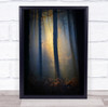 Tree Trees Forest Light Dawn Morning Sunrise Magic Rays Ray Wall Art Print