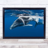 Whale Underwater Surface Water Blue Ocean Sea Dive Humpback Wall Art Print