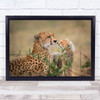 Cheetah Baby Cub Wildlife Wild Nature Animal Animals Bokeh Wall Art Print