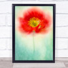 Flower Red Poppy Floatypetals Vibrant Floral Bloom Flowers Wall Art Print