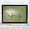 Soft Macro Flower Flora Floral Green Bokeh Delicate Gentle Wall Art Print