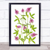 Trifolium Pink Green Floral Flower Flowers Flora Botanical Wall Art Print