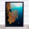 Underwater Dive Diver Diving Coral Corals Water Deep Sport Wall Art Print