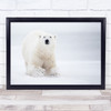 Bear Polar White High Key High-Key Winter Snow Ice Season Wall Art Print