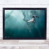 Birds South Africa Diving Underwater Fish Bubbles Surface Wall Art Print