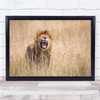 Lion Roar Fang Fangs Safari Africa Masai Mara Mane Action Wall Art Print