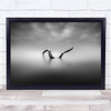 Trunk Black Sea Peaceful Silence Fog Nature No Time Space Wall Art Print