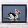 Pelican Fish Catch Caught Prey Predator Water Eat Eating Wall Art Print Pelican Fish Catch Caught Prey Predator Water Eat Eating Wall Art Print