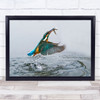 Success Colourful bird catching fish action Water splash Wall Art Print Success Colourful bird catching fish action Water splash Wall Art Print