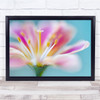 Summer Garden Flower Floral Plant Macro Close-Up Flowers Wall Art Print