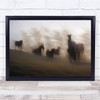 Action Horse Group Galloping Hazy Sunlight Black Forest Wall Art Print