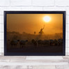 Documentary Sun Shepherd Cattle Livestock Orange Golden Wall Art Print