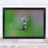 Feather Downy Tuft Seed Macro Water Abstract Soft Pearl Wall Art Print