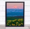 Oregon Wildflower Mount Hood Spring Awakening sunflower Wall Art Print