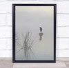 United States America Marsh Bird Creek Lake Exton reeds Wall Art Print