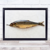 Fish Smoked Smoking Cigarette Still Life Marble Smoker Wall Art Print