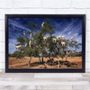 Goats Tree Argan Morocco Shepherd Funny Animals On The Wall Art Print