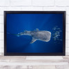 Shark Whaleshark Wildlife Sea Ocean Underwater Animals Wall Art Print