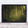 Landscape Trees Forest Summer Fog Atmosphere Panorama Wall Art Print