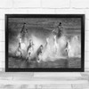 Panoramic Horses Camargue France Splash Black & White Wall Art Print