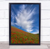 Red Poppies Blue Sky White Clouds Flowers In Tianshan Wall Art Print