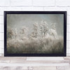 Winter Cold Frost Frozen Hoarfrost Forest Trees White Wall Art Print