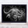 Black & White Buffalo Mean Pests Bugs Insects Animal Wall Art Print