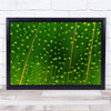 Green Landscape Aerial Above Trees Field Perspective Wall Art Print