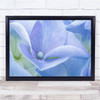 Pastel Blue Macro Detail Petal Petals Colour Colours Wall Art Print