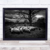Sheep Herding Together black and white trees animals Wall Art Print