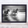 Splash Water Around horses running animals wild life Wall Art Print