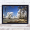 Winter Frost Poland Landscape Trees Frozen Snow Park Wall Art Print