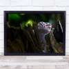 Animals Macro Reptile Lizard Gecko Bokeh Cute Smile Wall Art Print