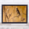 Birds Wildlife Nature Animal Animals Bokeh Panorama Wall Art Print