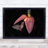 Landscape Orange Nectar Bat Eating From Pink Flower Wall Art Print