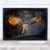 Owl Bird At Dawn Flying Through Air Wings Wild life Wall Art Print