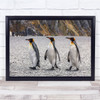 Penguins Salisbury Proud Attitude King Penguin Trio Wall Art Print