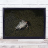 Saudade From Qonasriaq woman Plastic dress in water Wall Art Print Saudade From Qonasriaq woman Plastic dress in water Wall Art Print