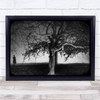 Black and white Mood Alone Tree person silhouette Wall Art Print