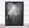 Black, White And Grey withered flowers distressed Wall Art Print