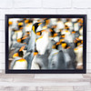 Blur Effect King Penguins Colony Falkland Islands Wall Art Print