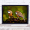 couple Wildlife Nature Animal Animals Bokeh Birds Wall Art Print