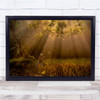 Landscape Farming Light Rays Sunlight Countryside Wall Art Print