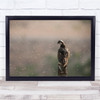 Wildlife Bird Predator Wild Nature Animal Insects Wall Art Print