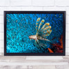 Animal Lionfish Underwater Sea Wildlife Tropical Wall Art Print