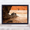 Desert Namibie Landscape Dead Death Degeneration Wall Art Print