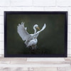 Egret Pair Nest Building nature Animals Wildlife Wall Art Print