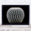 Notocactus Cactus Desert plant Macro Spines Fort Wall Art Print